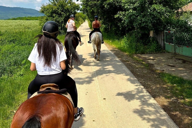 Depuis Belgade : Mtn. Kosmaj - Randonnée à cheval et excursion d'une journéeDéfiez l'aventure : randonnée à cheval et randonnée pédestre à la journée