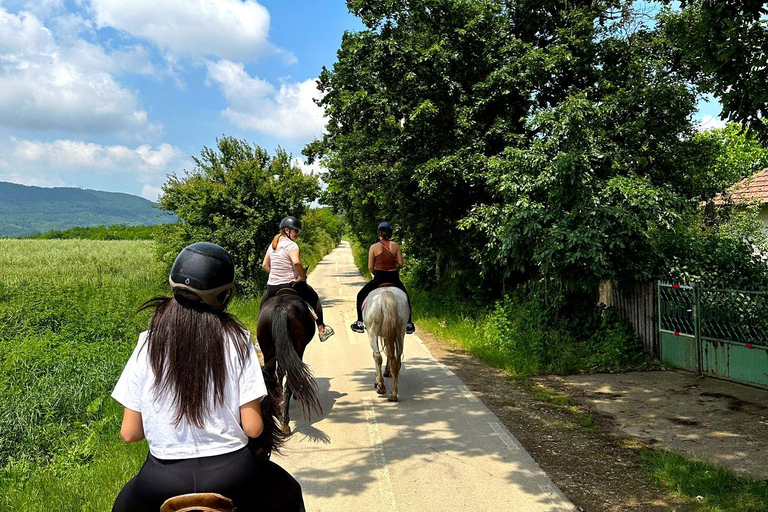 Desde Belgade: Mtn. Kosmaj Excursión de un día a caballo y a pieDesafía la aventura : Excursión de día completo a caballo y senderismo