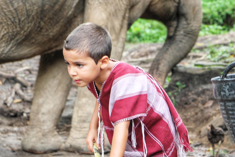 Experiência exclusiva de meio dia com animais gigantes da família