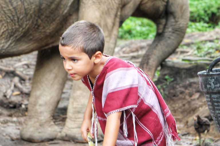 Exclusive experience half day with family giant animals