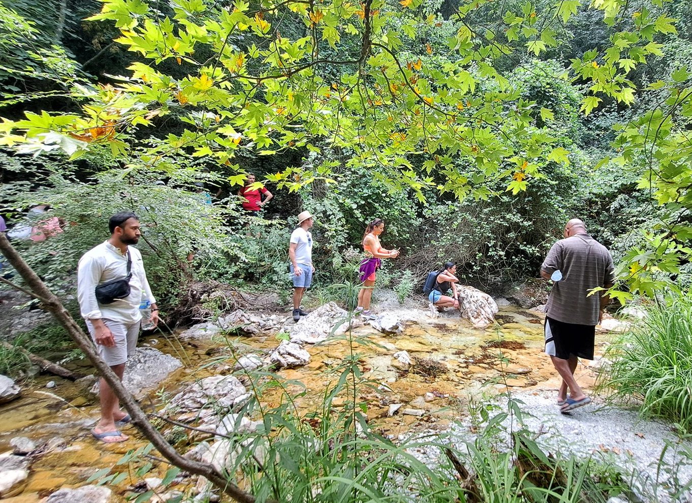 Fra Thessaloniki: Dagsudflugt til Dion og Mount Olympus Park