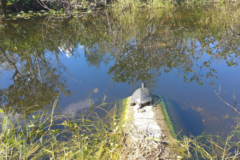 Miami: Everglades Airboat Ride and Tram Tour