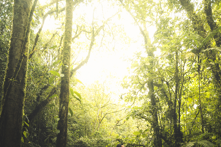 Van Medellin: begeleide wandeltocht in de natuur