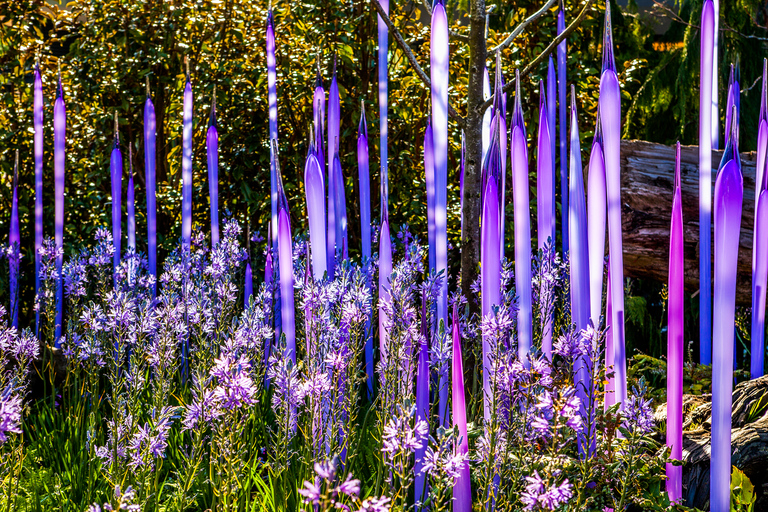 Seattle : Billet d'entrée pour le jardin et le verre ChihulyBillet d'entrée en soirée Valable de 19 h à la fermeture