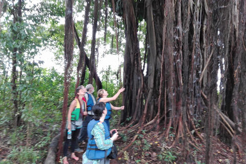 L&#039;Odyssée de l&#039;Amazonie : Explorez les merveilles de la forêt tropicale grâce à nos circuits !