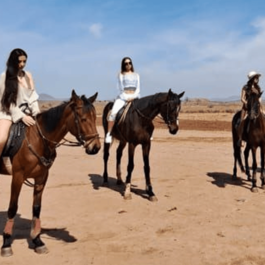 Marrakech : Randonnée à cheval dans le désert et la Palmeraie & transfert