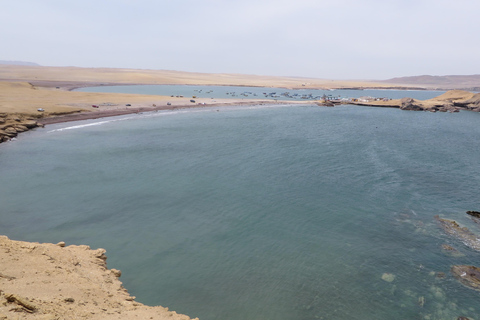 Adventure in the Paracas Dunes: Explore on Buggys or ATVs!