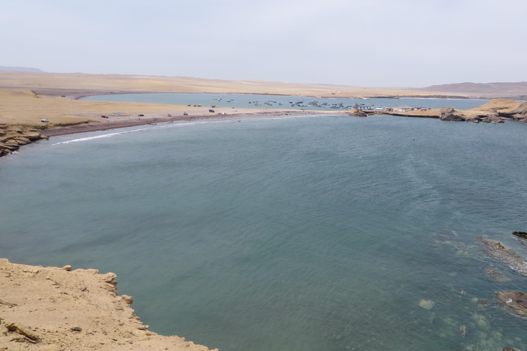 Adventure in the Paracas Dunes: Explore on Buggys or ATVs!