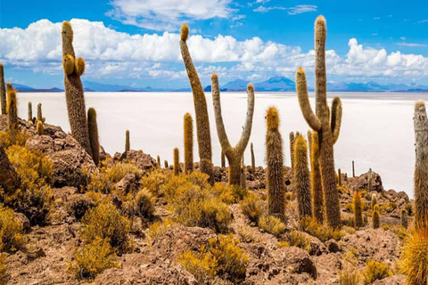 Vanuit San Pedro de Atacama |4-daagse tour naar de zoutvlakte van Uyuni