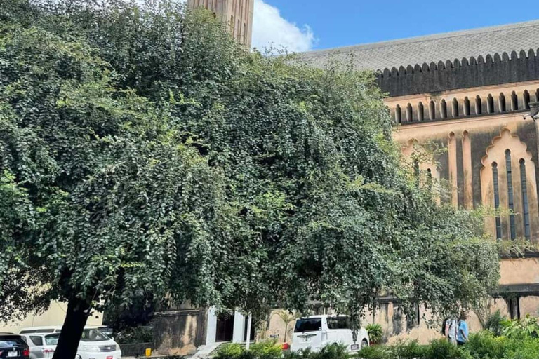 ZANZIBAR: Kryddodling, Stone Town-rundtur och Makachu DiversPRIVAT TUR TRANSFER INGÅR EJ