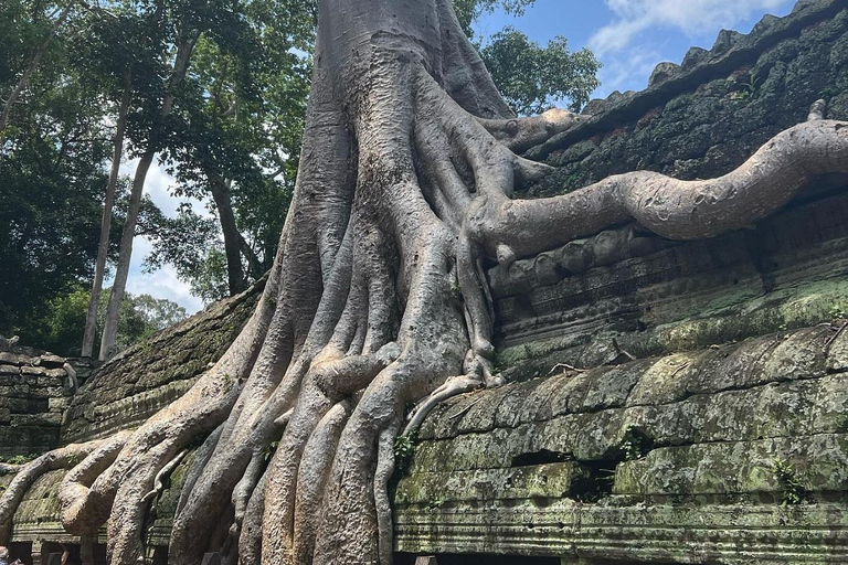 Siem Reap: Small Group Tour 1 day at Angkor with sunrise Small Group Tour in Spanish