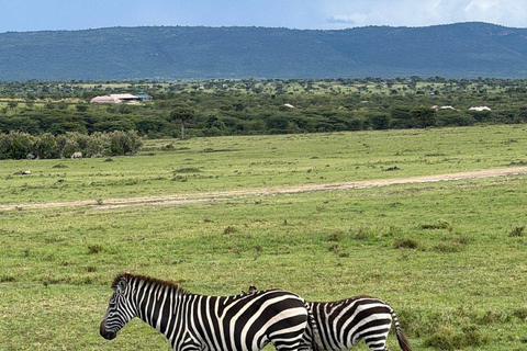 Nairobi: 3-Day epic trip to Maasai Mara Reserve with meals 3 days, 2 nights private safari to Mara in a tourist VAN