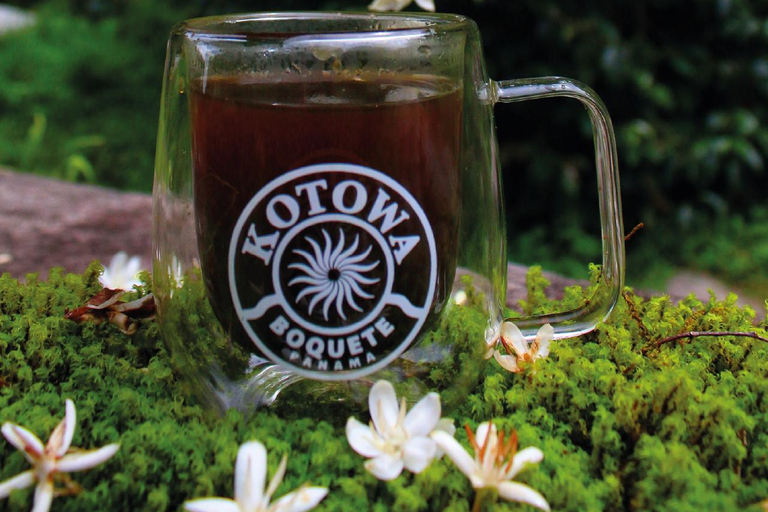 Boquete, Chiriquí: Irresistible aromas and flavors with coffee Boquete, Chiriquí: Dive into the world of coffee