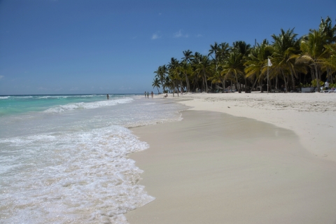 Est de la République dominicaine : excursion d'une journée sur l'île de SaonaPrise en charge à Juan Dolio à n'importe quelle adresse