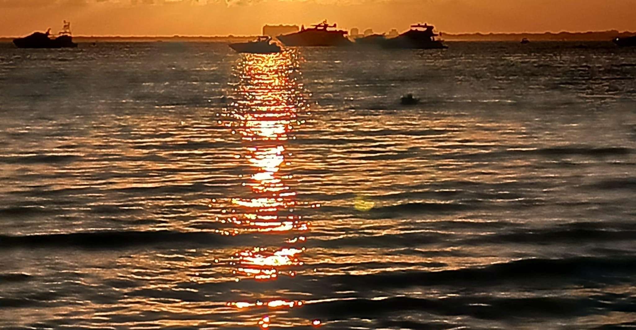 Miami: Guided Boat Tour with Champagne photo 15