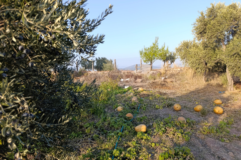 Rustic cooking day at Bodrum country home