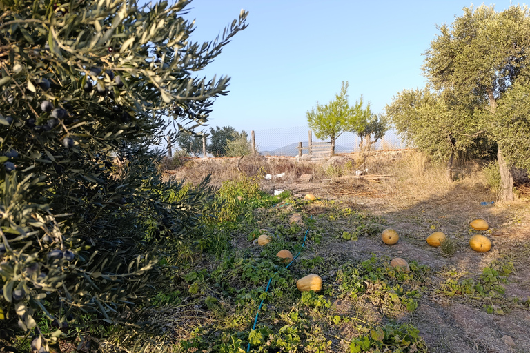 Rustic cooking day at Bodrum country home