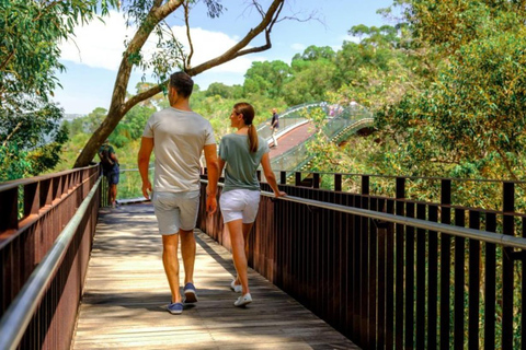 Perth: Caminhada guiada pelo Kings Park Botanicals &amp; Beyond