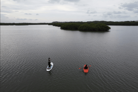 Veracruz, Kayak or Paddle equipment rentals in Mandinga Kayak or Paddle equipment rental in Mandinga