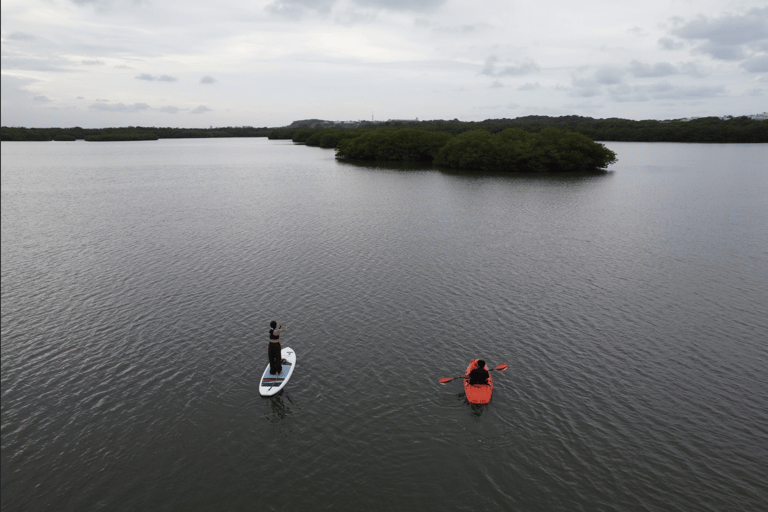 Veracruz, Kayak or Paddle equipment rentals in Mandinga Kayak or Paddle equipment rental in Mandinga