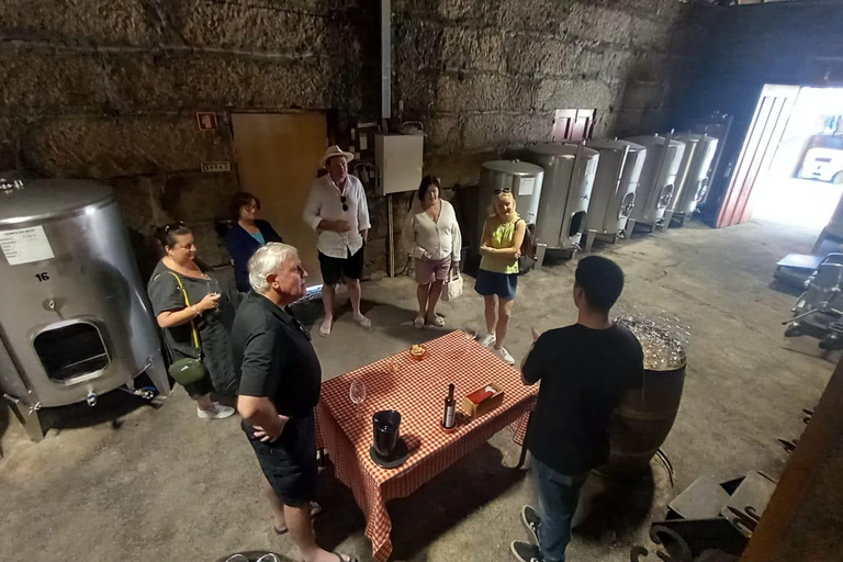 VALLEE DU DOURO : Visite guidée des vignobles, croisière et déjeuner dans un établissement vinicole.Visite privée