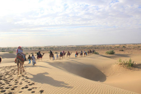 DESERT CAMEL SAFARI Camel SAFARi !n 0sian DeSERT