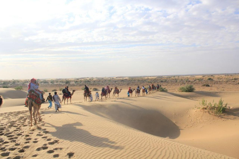 jeep safari JEEP OR CAMEL SAFARI RIDE TOUR in KHURI`S DESERT