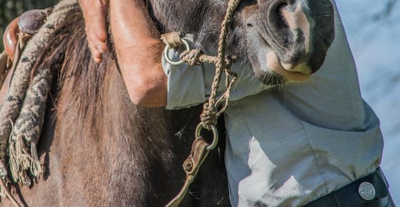 Buenos Aires: Authentic Gaucho Day Trip – Private Tour