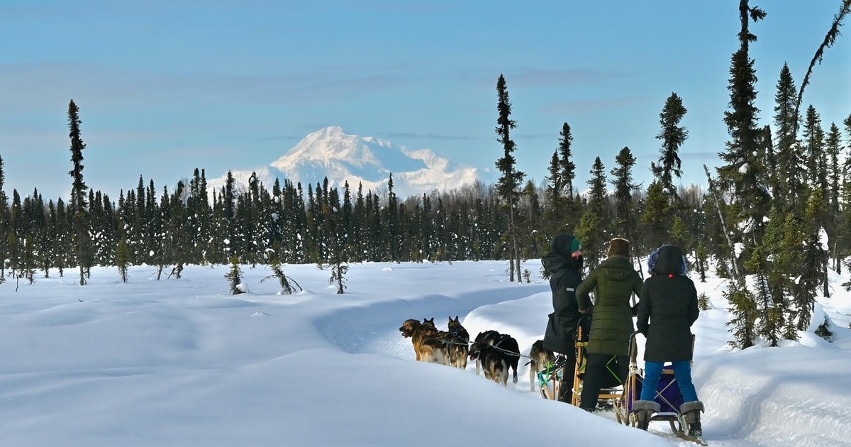 Talkeetna Excursión invernal en trineo tirado por perros ¡Por la mañana