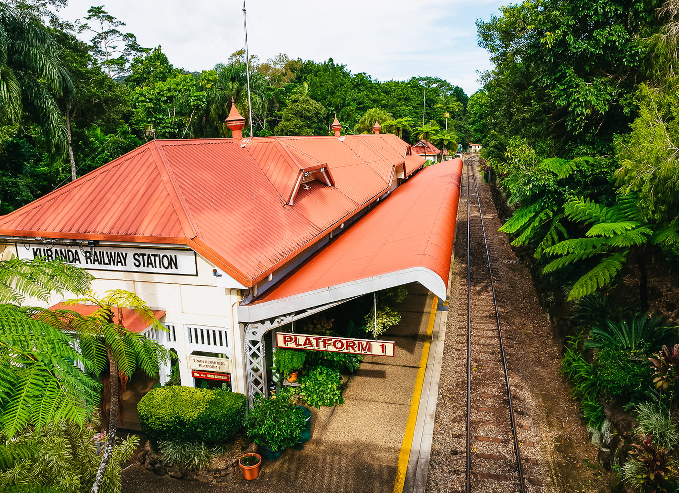 Fra Cairns: Selvguidet Kuranda-tur med tog og Skyrail