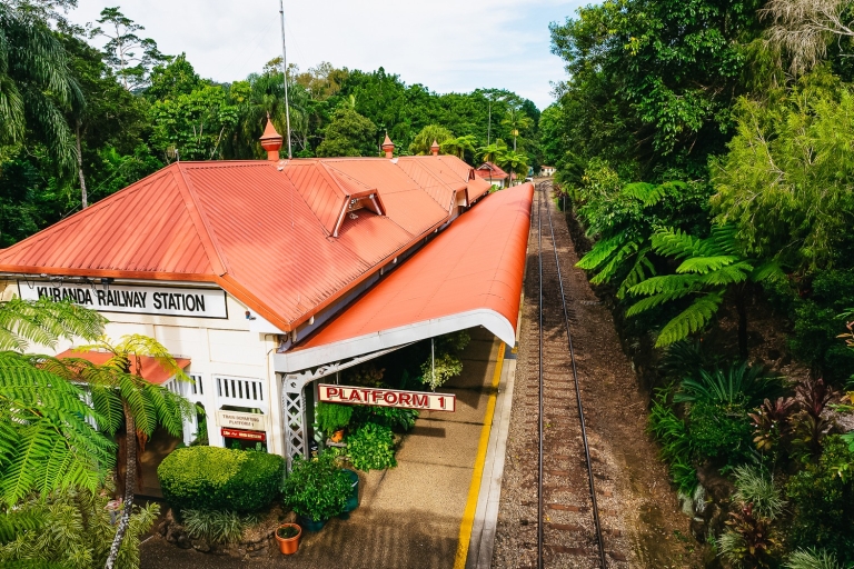 Cairns: Kuranda bez przewodnika, podróż pociągiem i kolejkąSkyrail w górę i powrót pociągu