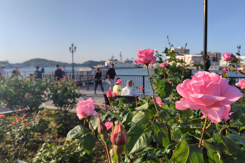 Yokosuka: Naval Port Cruise & Local Guided Tour