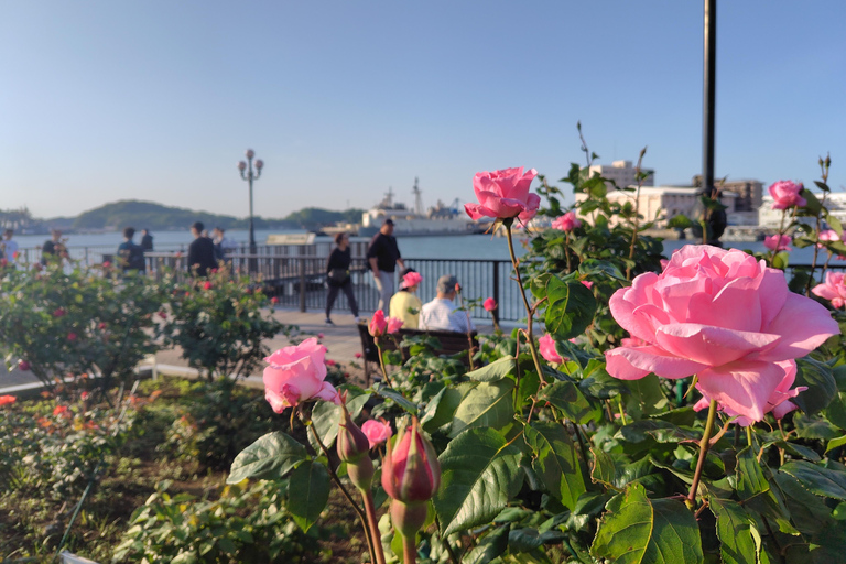 Yokosuka: Naval Port Cruise & Local Guided Tour