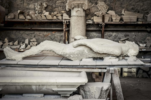 Naples: Pompeii and Herculaneum Guided Tour