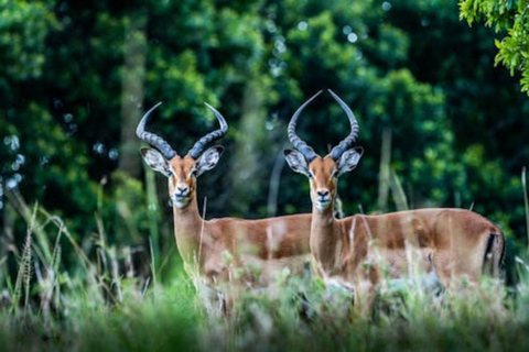 Nairobi: Hell’s Gate, Crescent Island, & Raptor Center Tour