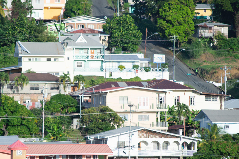 Tobago: Island Circle