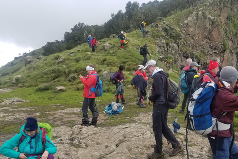 Gondar: 3-Day Simien Mountains Trek with Guide