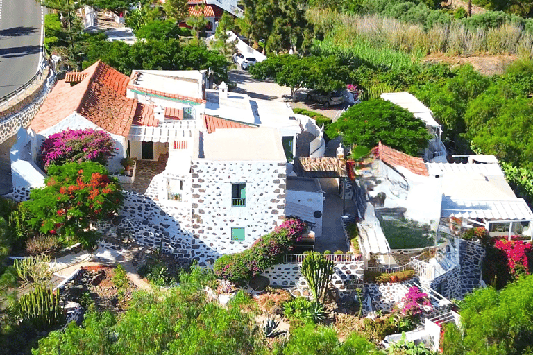 Gran Canaria: degustazione di vino e formaggio locale a Mogan