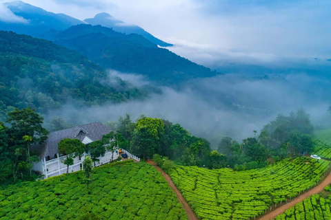 From Kochi: 10-Day Kerala Tour with Munnar, Thekkady Only Car With Driver