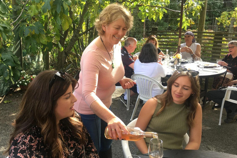 Wellington : visite privée des vignobles de Martinborough avec déjeunerWellington : visite privée du vignoble de Martinborough avec déjeuner