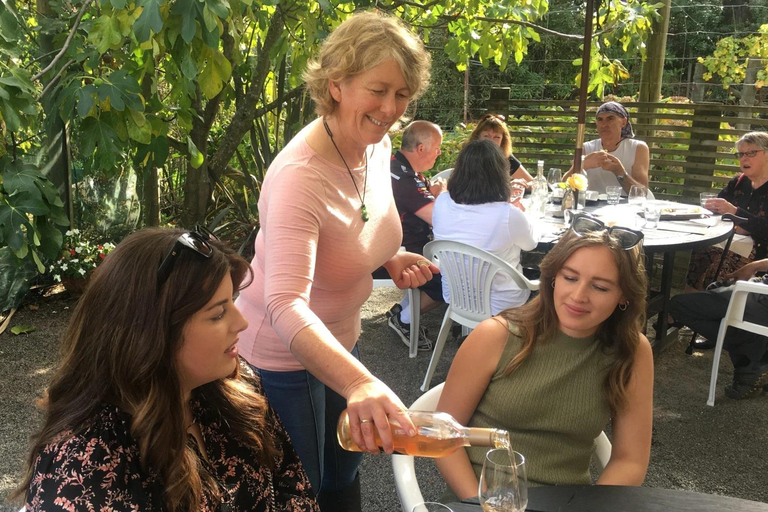 Wellington : visite privée des vignobles de Martinborough avec déjeunerWellington : visite privée du vignoble de Martinborough avec déjeuner