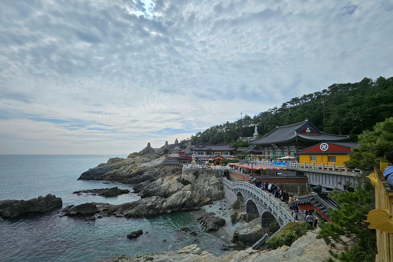 Busan: Top Attractions Tour for Cruise Guests For Busan Cruise Guest Highlight Top Attraction Group Tour