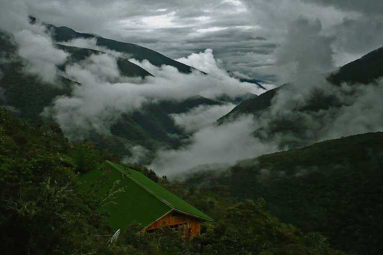 Depuis Cusco : Tour Manu - Tambopata - Puerto Maldonado 8J/7N