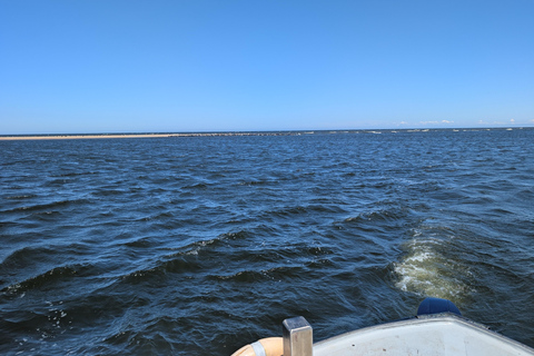 Gdańsk: Seal Watching Boat Tour from Sobieszewo