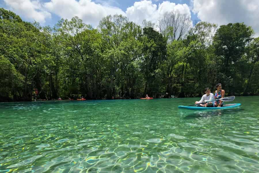 Panama City Beach: Cypress Springs Paddleboard- oder Kajak-Tour. Foto: GetYourGuide