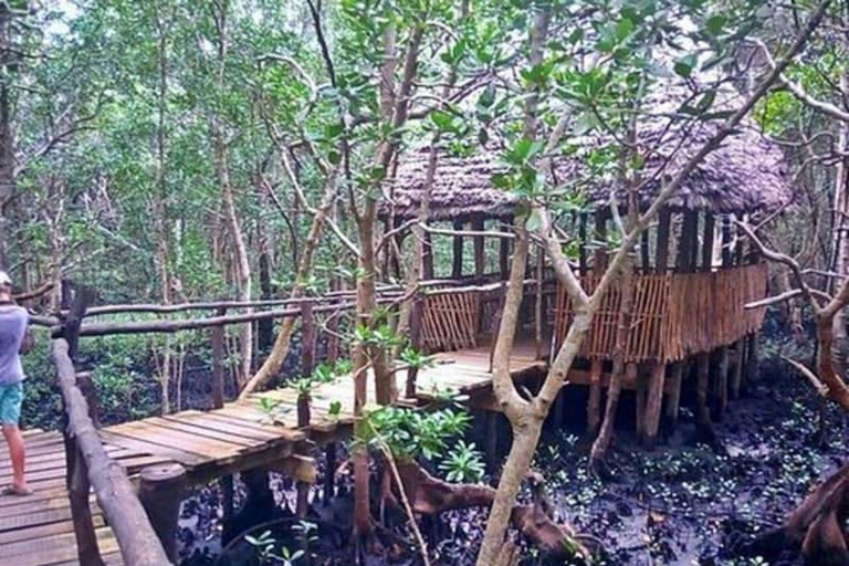Zanzibar: Stone Town, Jozani Forest, Turtle Swim & The Rock Tour Without Hotel Transfer