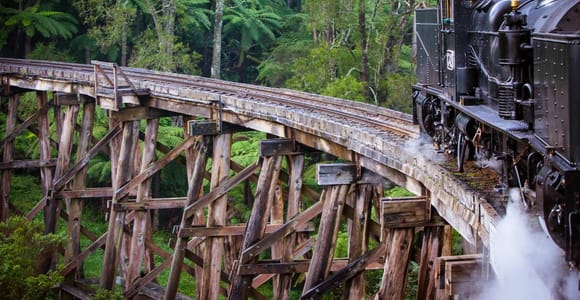 From Melbourne: Private Tour with Puffing Billy Train Ride