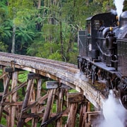 Private Puffing Billy Train & Healesville Sanctuary Tours