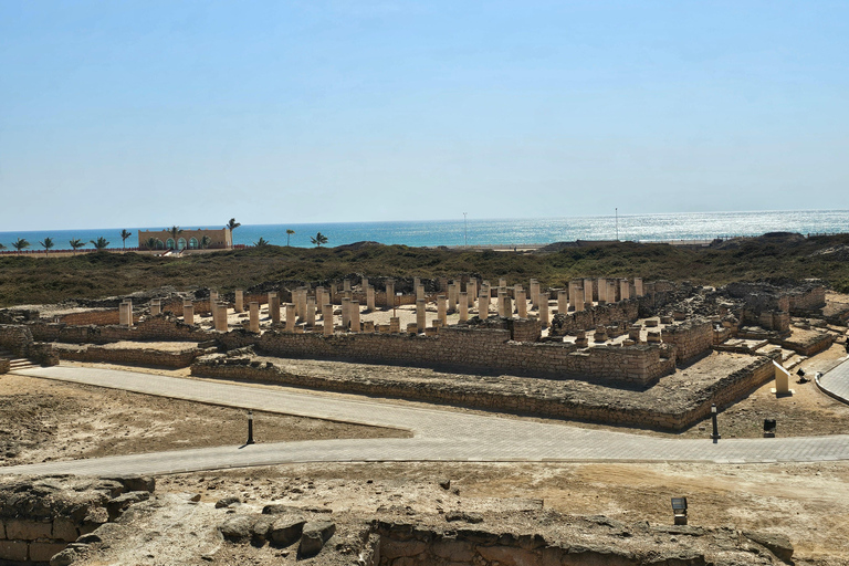 Visite de la ville de Salalah : Aventure d&#039;une demi-journée