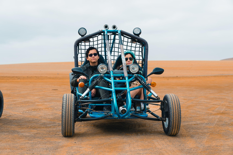 巴列斯塔斯群岛和帕拉卡斯保护区迷你越野车探险之旅巴列斯塔斯群岛与帕拉卡斯自然保护区迷你越野车探险之旅